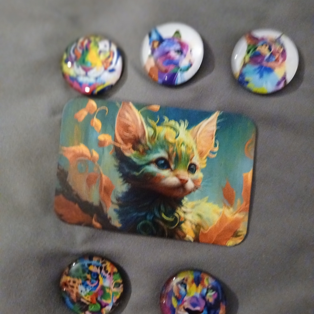 Rainbow and abstract cat and mix of animal magnets